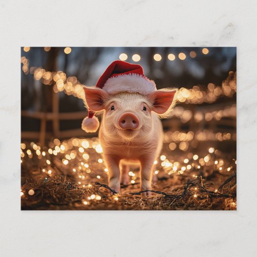 Carte Postale Cochon dans un chapeau de Père Noël (Devant)