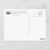 Carte Postale Cochon de Guinée (Dos)