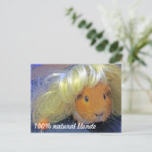 Carte Postale Cochon de Guinée avec perruque blonde (Debout devant)