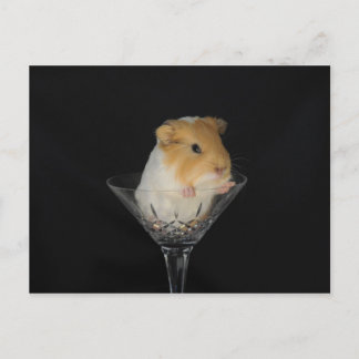 Carte Postale Cochon de Guinée dans un verre à vin