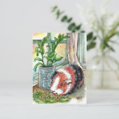 Carte Postale Cochon de Guinée par la fenêtre (Debout devant)