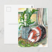 Carte Postale Cochon de Guinée par la fenêtre (Devant / Derrière)