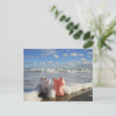 Carte Postale cochon et vache à la plage (Debout devant)