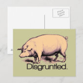 Carte Postale Cochon mécontent (Devant / Derrière)