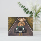 Carte Postale Cochon routier (Debout devant)
