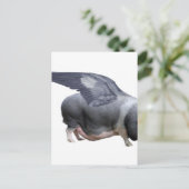 Carte Postale cochon volant (Debout devant)