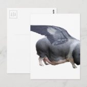 Carte Postale cochon volant (Devant / Derrière)