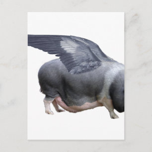 Carte Postale cochon volant