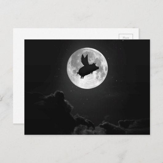 Carte Postale cochon volant nocturne (Devant / Derrière)