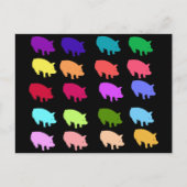 Carte Postale Cochons arc-en-ciel (Devant)