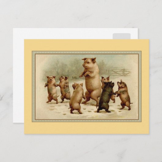 Carte Postale Cochons de danse vintages (Devant / Derrière)