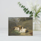 Carte Postale Cochons de Guinée (par George Morland) (Debout devant)