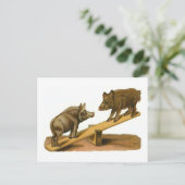 Carte Postale Cochons de tête de bouton (Debout devant)