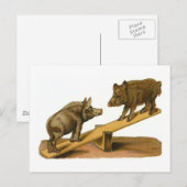 Carte Postale Cochons de tête de bouton (Devant / Derrière)