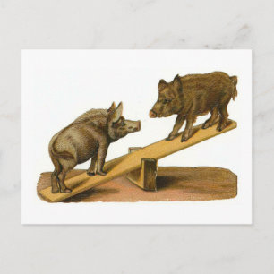 Carte Postale Cochons de tête de bouton