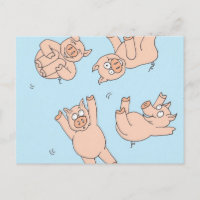 Cochons de Trampoline