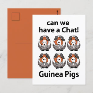 Carte Postale Cochons d'Inde Pouvons-nous discuter Cochons d'Ind