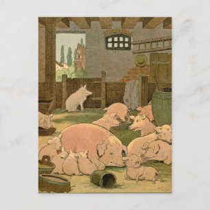 Carte Postale Cochons et cochons à la ferme