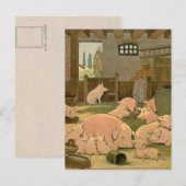 Carte Postale Cochons et cochons à la ferme (Devant / Derrière)