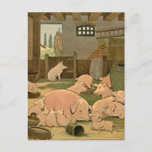 Carte Postale Cochons et cochons à la ferme (Devant)