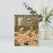 Carte Postale Cochons et cochons à la ferme (Debout devant)