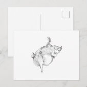 Carte postale cochons volants (Devant / Derrière)