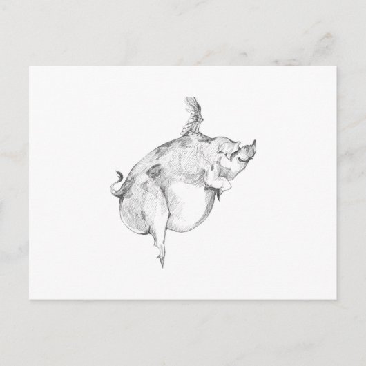 Carte postale cochons volants (Devant)