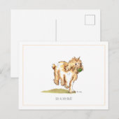 Carte Postale Cockapoo 'Me & My Ball' (Devant / Derrière)