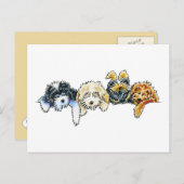 Carte Postale Cockapoos endormis (Devant / Derrière)