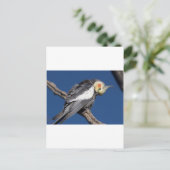 Carte Postale Cockatiel (Debout devant)
