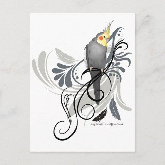 Carte Postale Cockatiel gris (Devant)