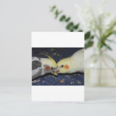 Carte Postale Cockatiel Love (Debout devant)