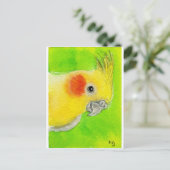 Carte Postale Cockatiel Peek-a-boo (Debout devant)