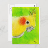 Carte Postale Cockatiel Peek-a-boo (Devant / Derrière)
