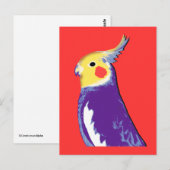 Carte Postale Cockatiel Pop Art (Devant / Derrière)