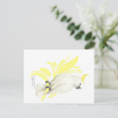 Carte Postale Cockatoo à pois de soufre (Debout devant)