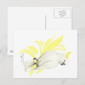 Carte Postale Cockatoo à pois de soufre (Devant / Derrière)
