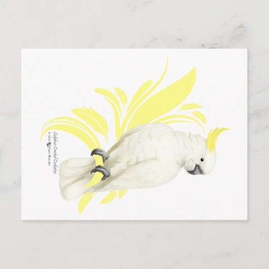 Carte Postale Cockatoo à pois de soufre (Devant)