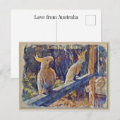 Carte Postale Cockatoo À Pot De Soufre Australien (Devant / Derrière)