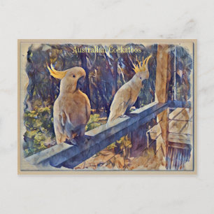 Carte Postale Cockatoo À Pot De Soufre Australien