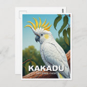 Carte Postale Cockatoo au parc national Kakadu Australie (Devant / Derrière)