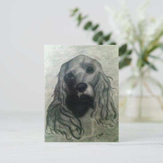 Carte Postale Cocker Drawing, Claire (Debout devant)