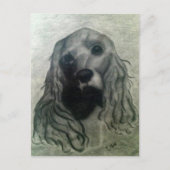 Carte Postale Cocker Drawing, Claire (Devant)