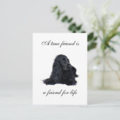 Carte Postale Cocker L'amitié espagnole (Debout devant)