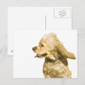 Carte Postale Cocker Spaniel (Devant / Derrière)
