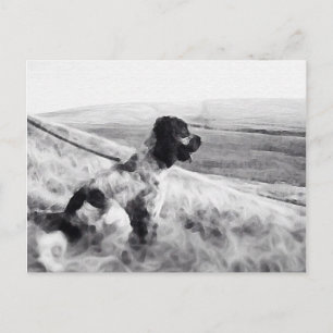 Carte Postale Cocker Spaniel