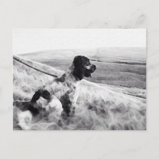 Carte Postale Cocker Spaniel (Devant)