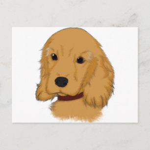 Carte Postale Cocker Spaniel