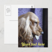 Carte Postale Cocker Spaniel (Devant / Derrière)