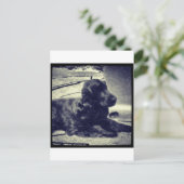 Carte Postale Cocker Spaniel (Debout devant)
